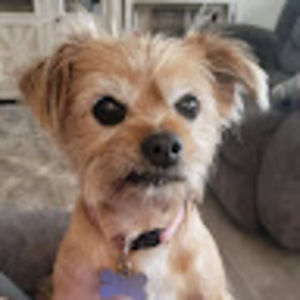 Meet your Posher, Gigi